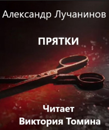 постер аудиокниги Прятки