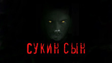постер аудиокниги Сукин сын