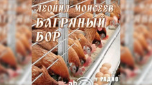 постер аудиокниги Багряный бор