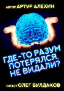 постер аудиокниги Где-то разум потерялся, не видали?