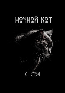 постер аудиокниги Ночной кот