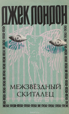 постер аудиокниги Межзвёздный скиталец