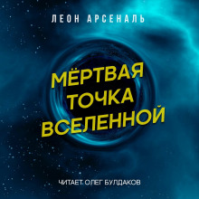 постер аудиокниги Мёртвая точка вселенной