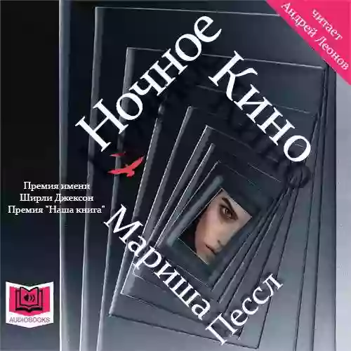 постер аудиокниги Ночное кино