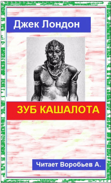 постер аудиокниги Зуб кашалота