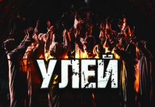 постер аудиокниги Улей