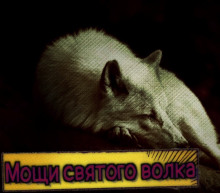 постер аудиокниги Мощи святого волка