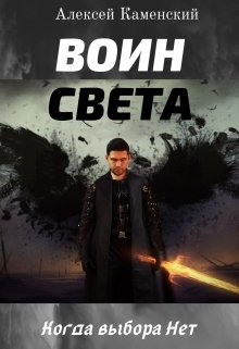 постер аудиокниги Воин Света