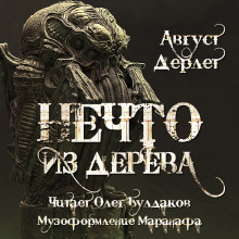 постер аудиокниги Нечто из дерева