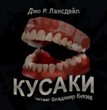 постер аудиокниги Кусаки