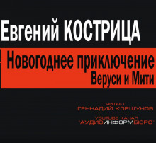 постер аудиокниги Новогоднее приключение Веруси и Мити