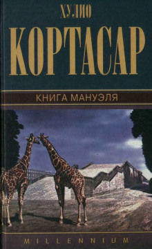 постер аудиокниги Книга Мануэля