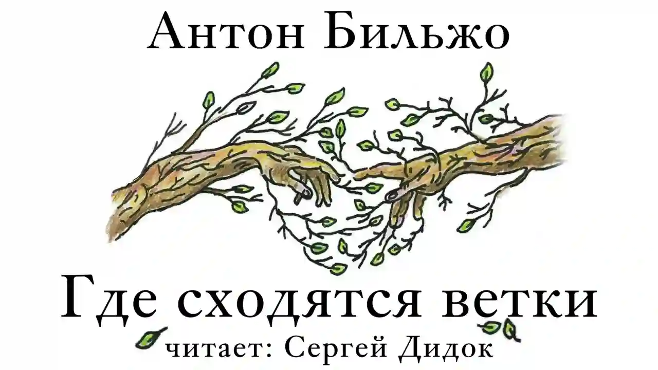 постер аудиокниги Где сходятся ветки