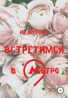 постер аудиокниги Встретимся в метро