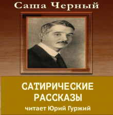 постер аудиокниги Сатирический рассказы