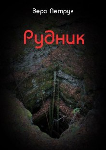 постер аудиокниги Рудник