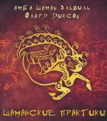 постер аудиокниги Шаманские практики