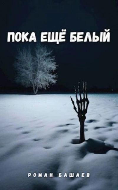 постер аудиокниги Пока ещё белый - Роман Башаев