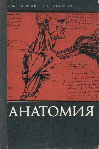постер аудиокниги Анатомия - Леопольд Гаврилов
