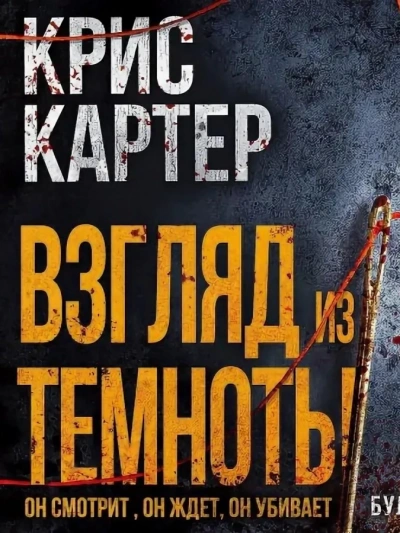 постер аудиокниги Взгляд из темноты - Крис Картер