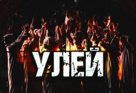 постер аудиокниги Улей - Дамир Брэди