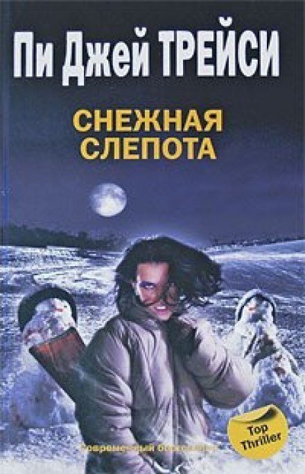 постер аудиокниги Снежная слепота - Трейси Пи Джей