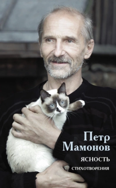 постер аудиокниги Ясность - Мамонов Петр