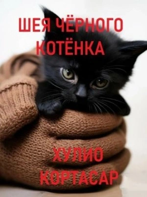 постер аудиокниги Шея чёрного котёнка - Хулио Кортасар