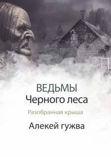 постер аудиокниги Разобранная крыша - Алексей Гужва