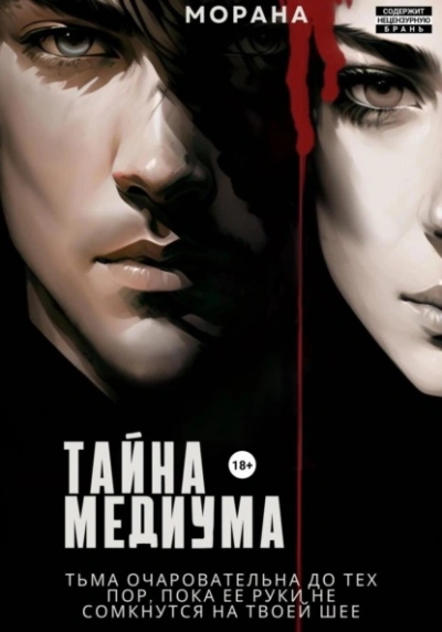 постер аудиокниги Тайна медиума - Морана