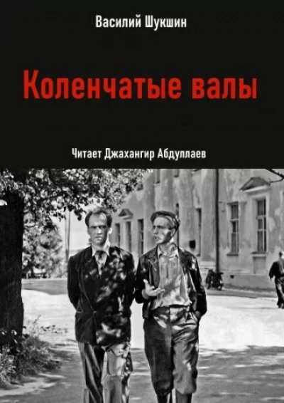постер аудиокниги Коленчатые валы - Василий Шукшин
