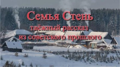 постер аудиокниги Семья Стень - Юрий Насыбуллин