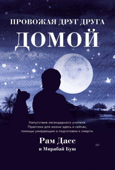 постер аудиокниги Провожая друг друга домой - Рам Дасс