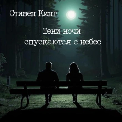 постер аудиокниги Тени ночи спускаются с небес - Стивен Кинг