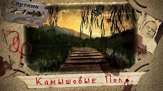 постер аудиокниги Камышовые поля - Мирон Высота