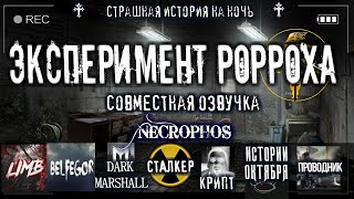 постер аудиокниги Эксперимент Вечность. Ожить. Любой. Ценой - RORROH