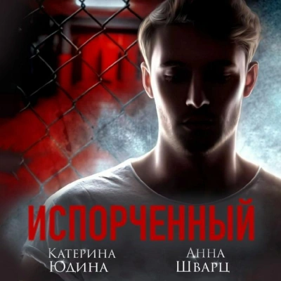 постер аудиокниги Испорченный. Книга 2 - Екатерина Юдина