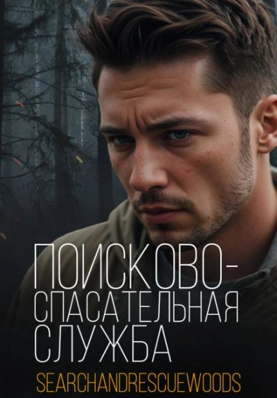 постер аудиокниги Поисково-спасательная служба