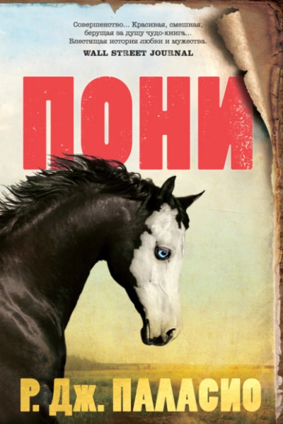 постер аудиокниги Пони - Ракель Паласио