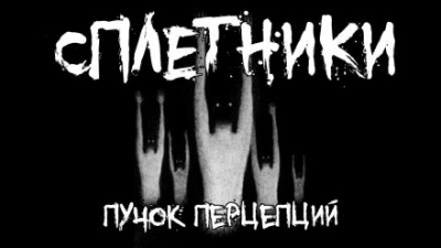 постер аудиокниги Сплетники - Пучок Перцепций