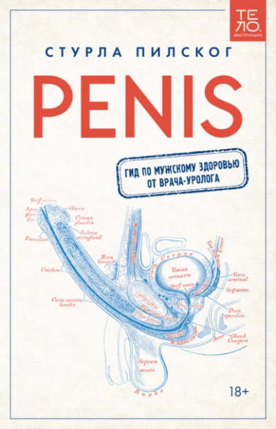 постер аудиокниги Penis. Гид по мужскому здоровью от врача-уролога - Пилског Стурла