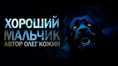 постер аудиокниги Хороший мальчик - Олег Кожин