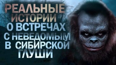 постер аудиокниги Сибирская жуть 2 - Андрей Буровский