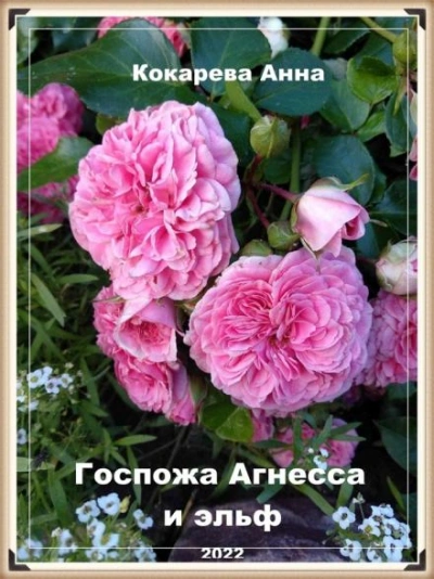 постер аудиокниги Госпожа Агнесса и эльф - Анна Кокарева