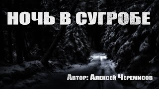 постер аудиокниги Ночь в сугробе - Алексей Черемисов