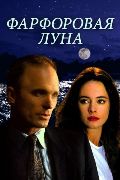 постер аудиокниги Фарфоровая луна - Джени Чан