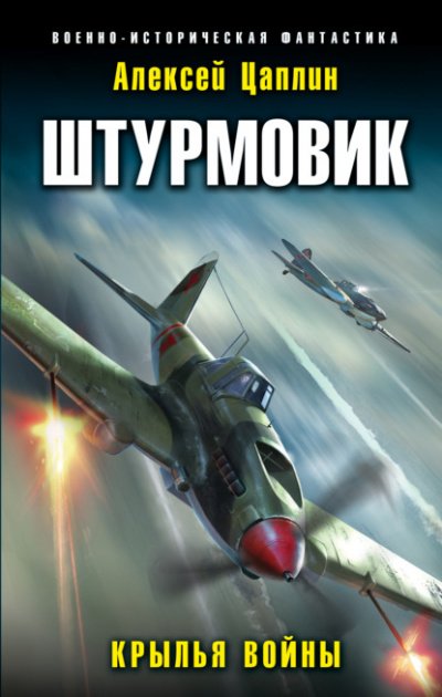 Штурмовик - Алексей Цаплин