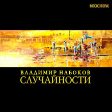 постер аудиокниги Случайности