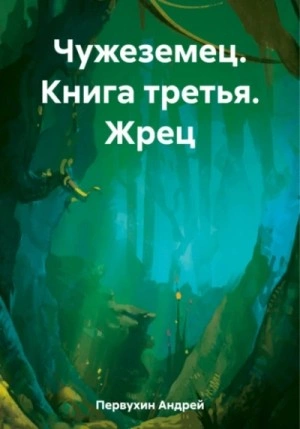 постер аудиокниги Жрец - Андрей Первухин