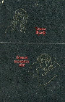 постер аудиокниги Домой возврата нет